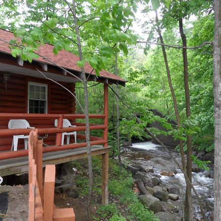 Seven Dwarfs Cabin - On The Brook Cabins เลคจอร์จ ห้อง รูปภาพ